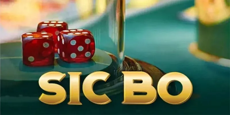 Tìm hiểu về cách soi cầu tài xỉu trong Sicbo VIN88