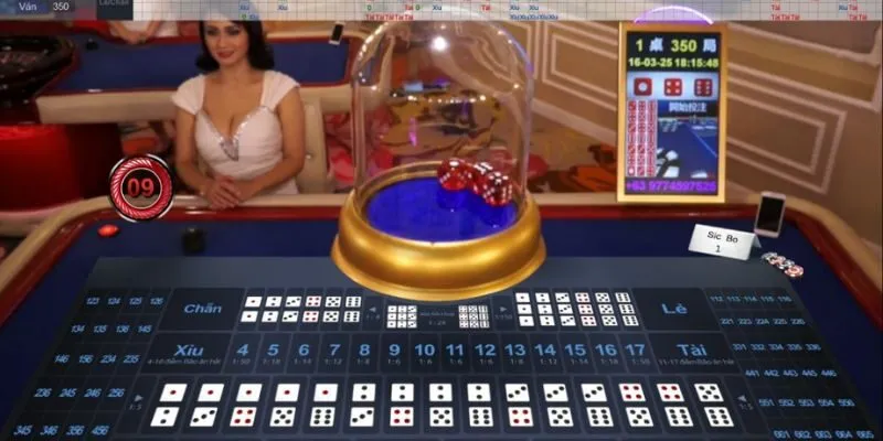 Hướng dẫn áp dụng cách soi cầu tài xỉu VIN88 dành cho người mới