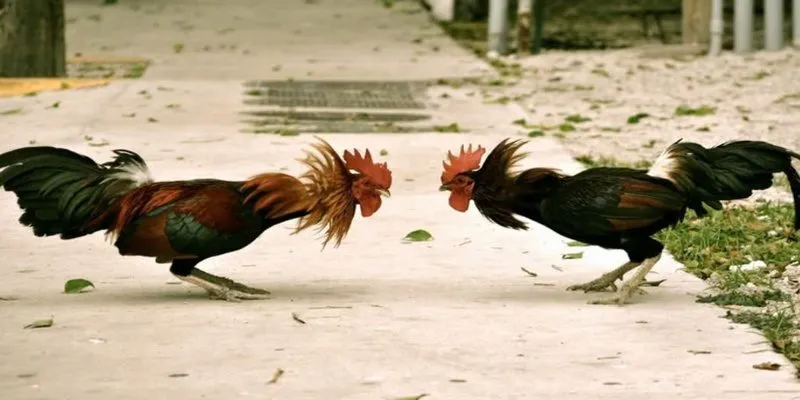 Ghi chép mọi kết quả