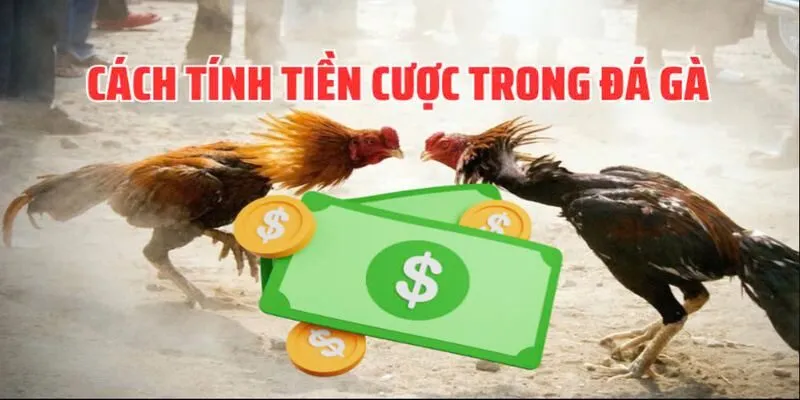 Giao diện đặt cược đá gà AE888