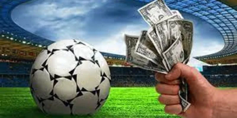 Những lưu ý đắt giá