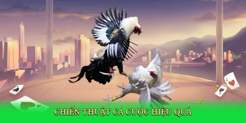 Chiến thuật cá cược hiệu quả
