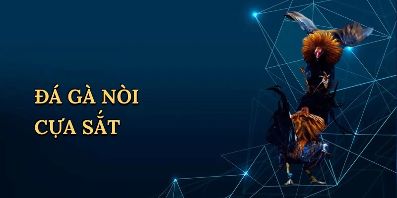 Đá Gà Nòi Cựa Sắt: Trải Nghiệm Đấu Trường Hồi Hộp Tại RED88